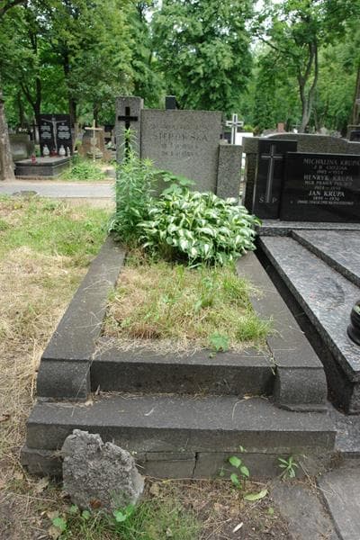 Zdjęcie grobu Antonina Stępowska (1)