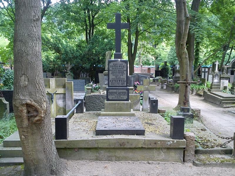 Zdjęcie grobu Władysław Ostrowski (1)
