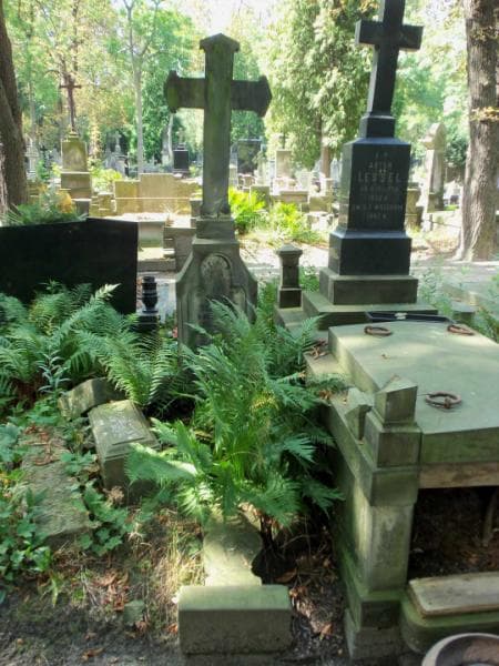 Zdjęcie grobu: Oktus Tolkemit