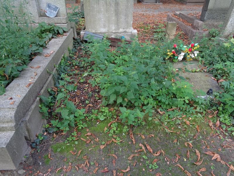 Zdjęcie grobu: Pole Grobowe