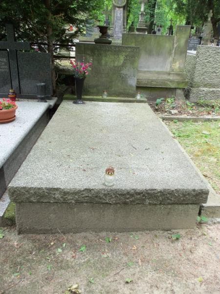 Zdjęcie grobu: Teodora Detyniecka