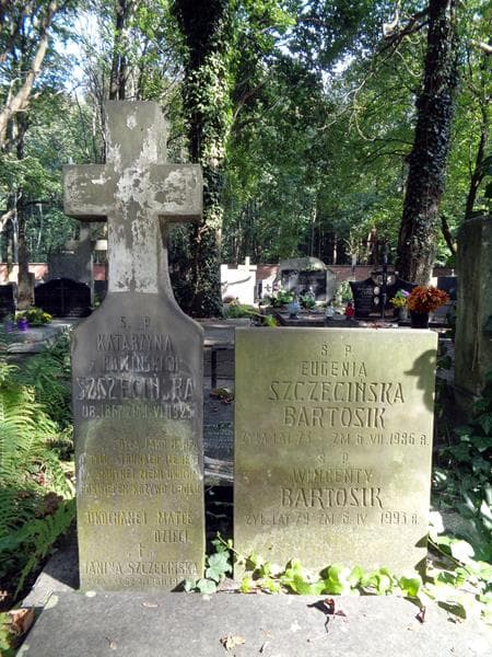 Zdjęcie grobu Wincenty Bartosik (2)