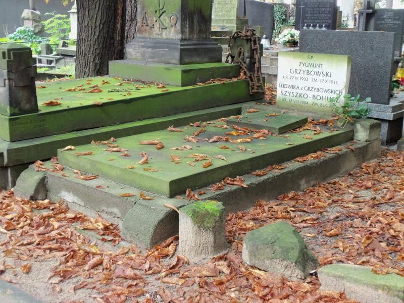 Zdjęcie grobu Zygmunt Grzybowski (1)