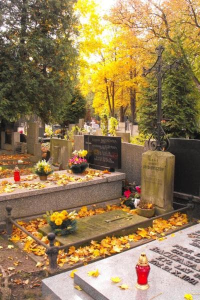 Zdjęcie grobu Aniołowiczowie (1)