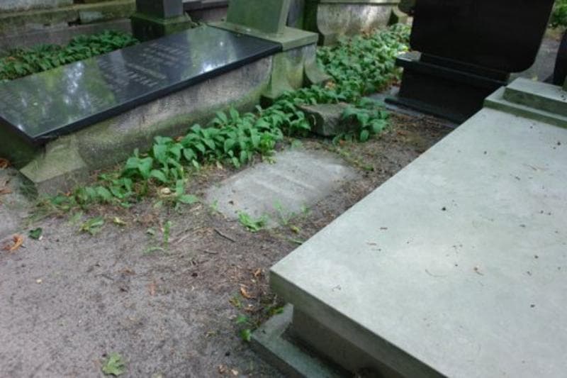Zdjęcie grobu Mieczysław Malewski (1)
