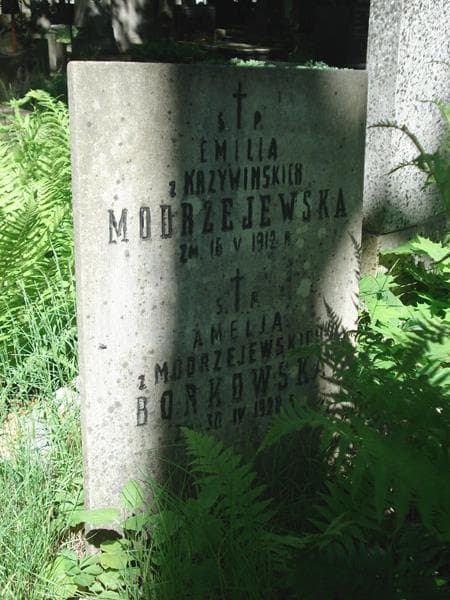 Zdjęcie grobu Amelja Borkowska (1)