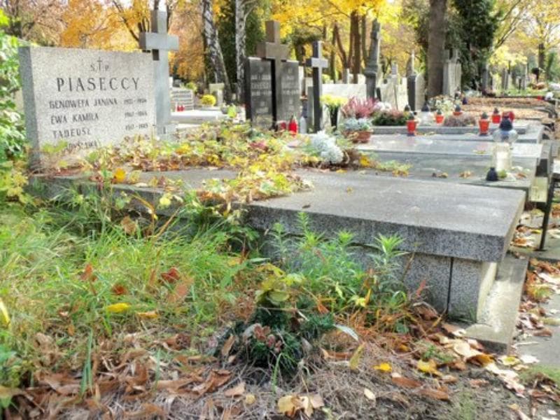 Zdjęcie grobu Ewa Kamila Piasecka (1)