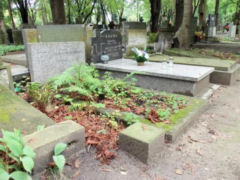 Zdjęcie grobu Leon Belina-Skupieński (1)
