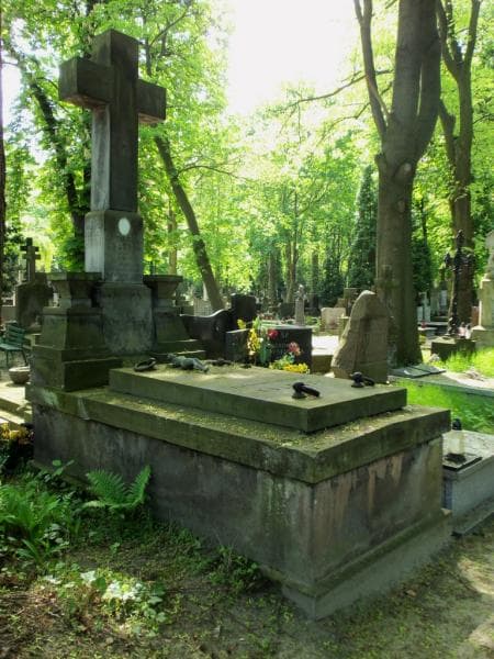 Zdjęcie grobu Eleonora Rozalja Kulesza (1)