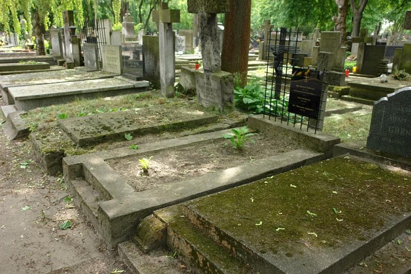 Zdjęcie grobu: Mieczysław Jackiewicz