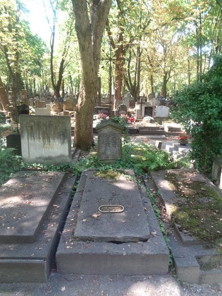 Zdjęcie grobu: Rozalja Czarnecka