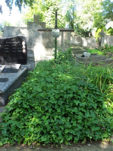 Zdjęcie grobu: Czesław Howorka