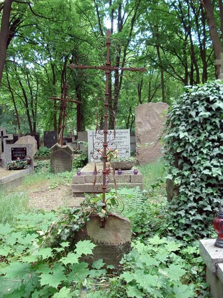 Zdjęcie grobu ... Drza... (1)