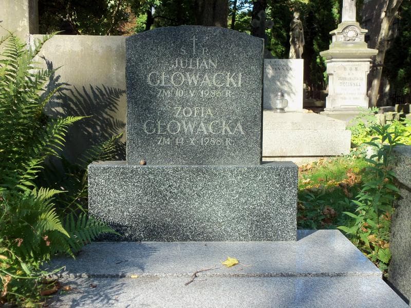 Zdjęcie grobu Julian Głowacki (2)