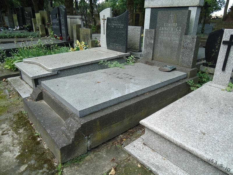 Zdjęcie grobu Edward Janowicz (1)