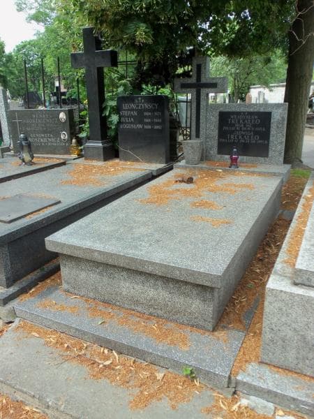 Zdjęcie grobu: Jadwiga Trekałło