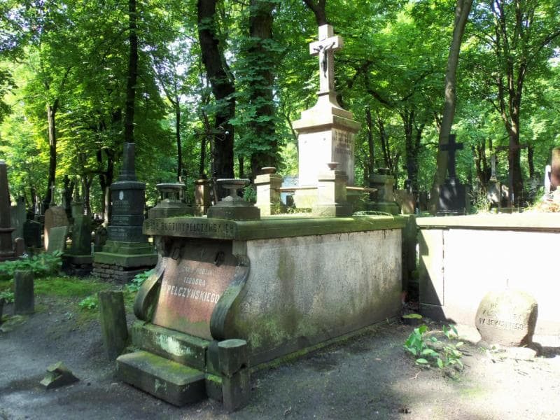 Zdjęcie grobu Teodor Pełczyński (2)