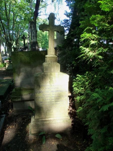 Zdjęcie grobu Stanisław Dębno-Krzyżanowski (1)