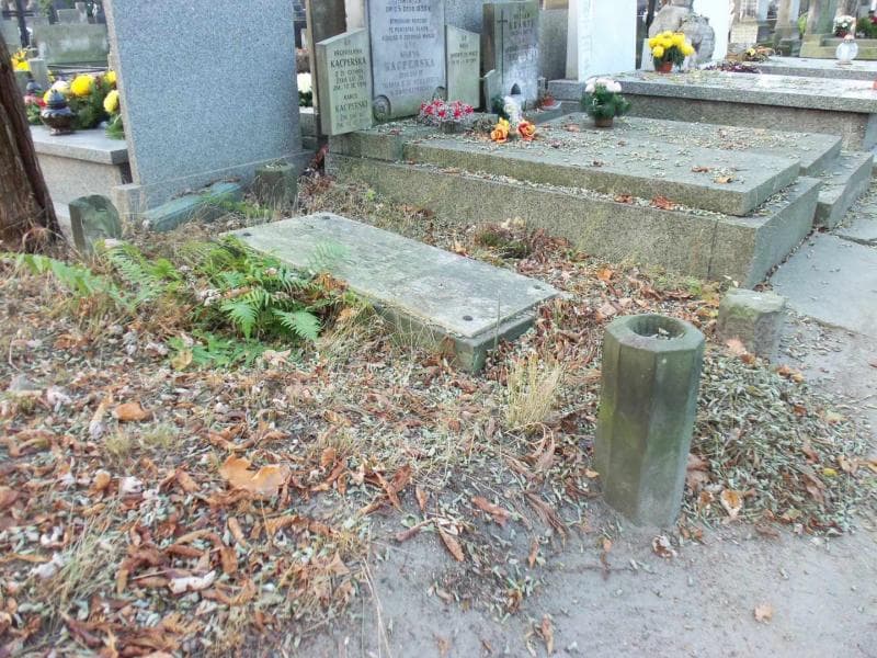 Zdjęcie grobu Helena Górska (1)