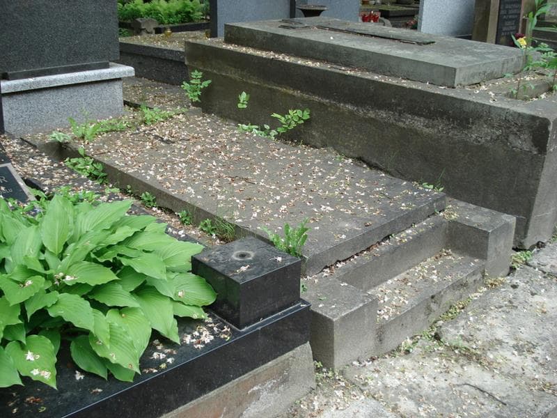 Zdjęcie grobu Józefina Dodze (1)