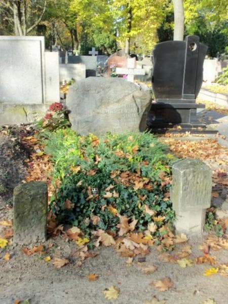 Zdjęcie grobu: Elżbieta Wasilewska - Sulik