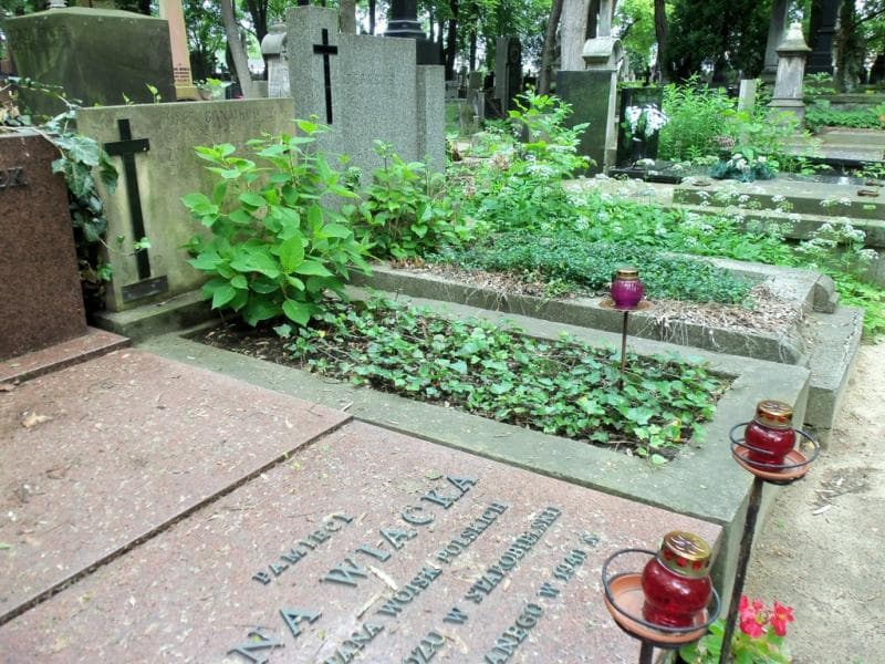Zdjęcie grobu Józef Banatkowicz (1)