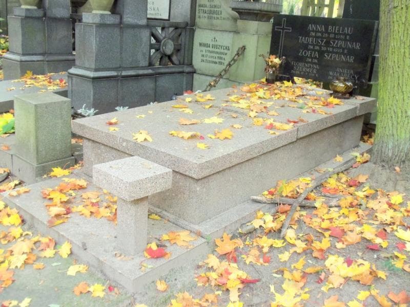 Zdjęcie grobu Aniela Wakarecy (1)