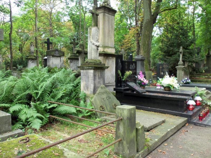 Zdjęcie grobu Paulina Chudzyńska (1)