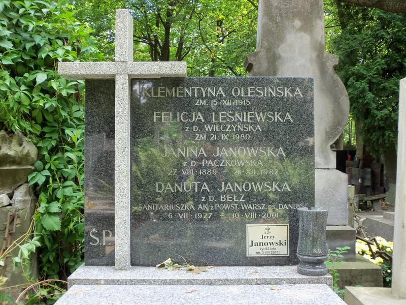 Zdjęcie grobu Janina Janowska (2)