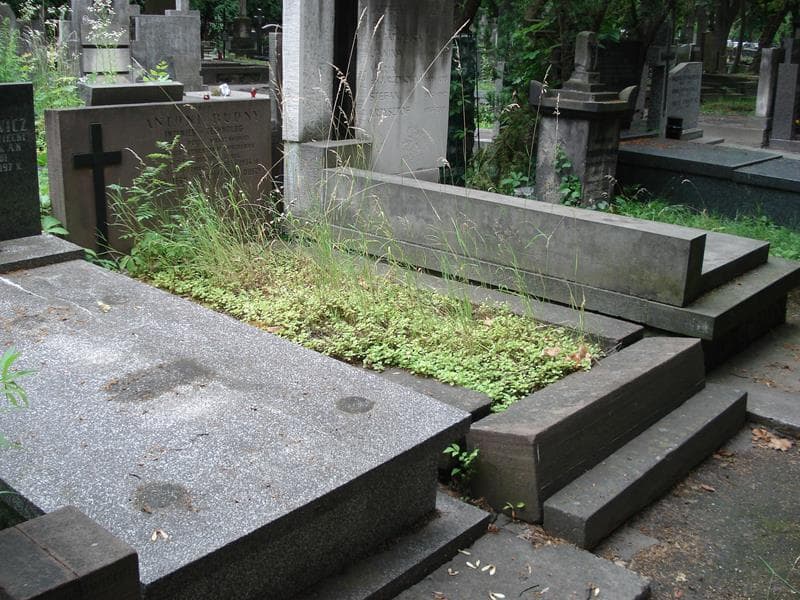 Zdjęcie grobu: Antoni Budny