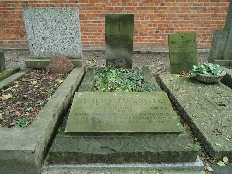 Zdjęcie grobu: Edmund Jankowski