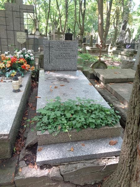 Zdjęcie grobu Henryka Tomaszewska (1)