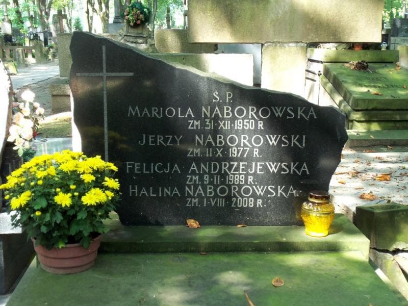 Zdjęcie grobu Felicja Andrzejewska (2)