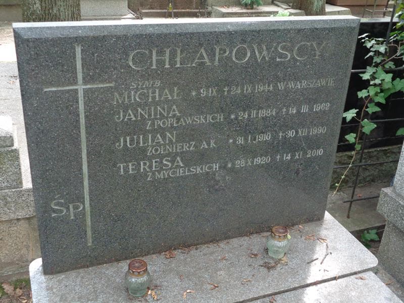 Zdjęcie grobu Michał Chłapowski (2)