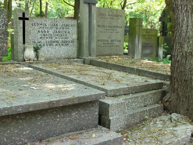 Zdjęcie grobu Ludwik Janicki (1)