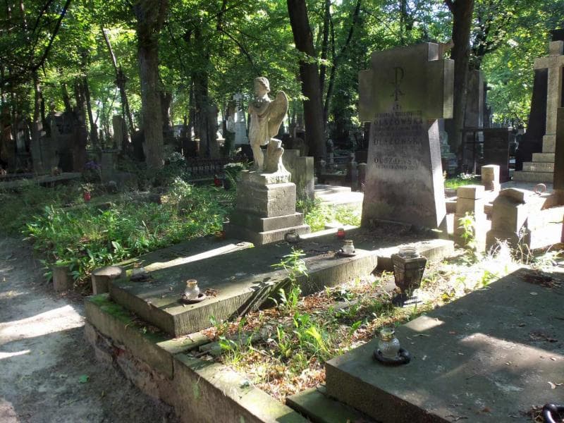 Zdjęcie grobu Antonina Olszowska (1)