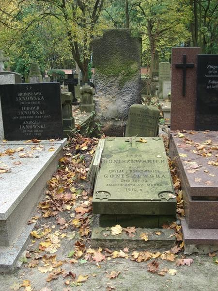 Zdjęcie grobu: Teofil Goniszewski