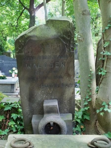 Zdjęcie grobu Jerzy Olszowski (2)