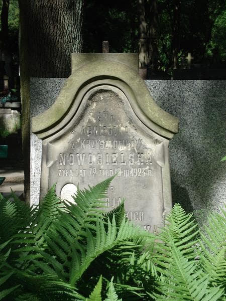 Zdjęcie grobu Agnieszka Nowosielska (2)