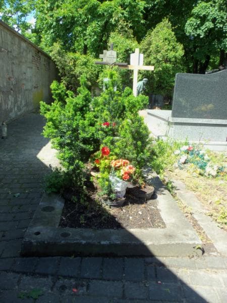 Zdjęcie grobu: Zenon Zatorski