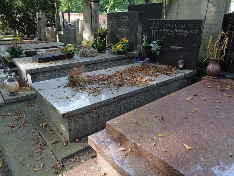 Zdjęcie grobu: Jadwiga Białecka