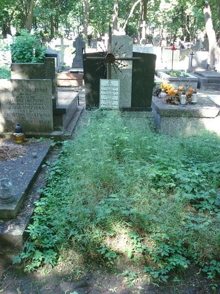 Zdjęcie grobu: Tomasz Chludziński