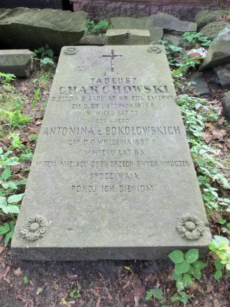 Zdjęcie grobu Tadeusz Charchowski (2)