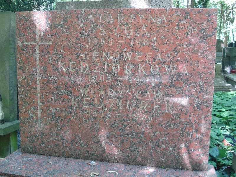 Zdjęcie grobu Władysław Kędziorek (1)