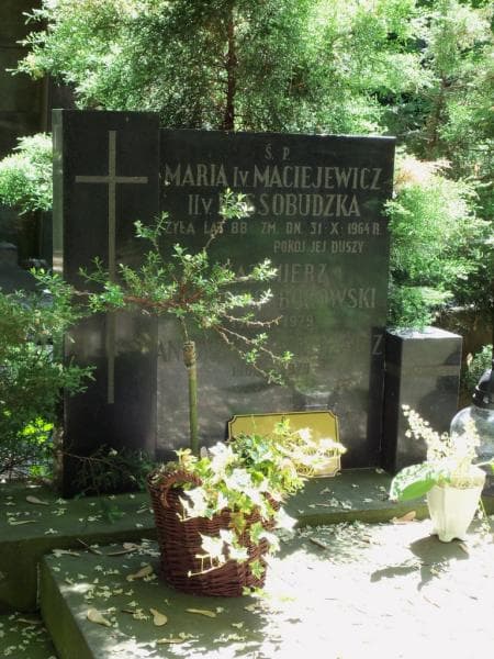 Zdjęcie grobu Antonina Maciejewicz (2)
