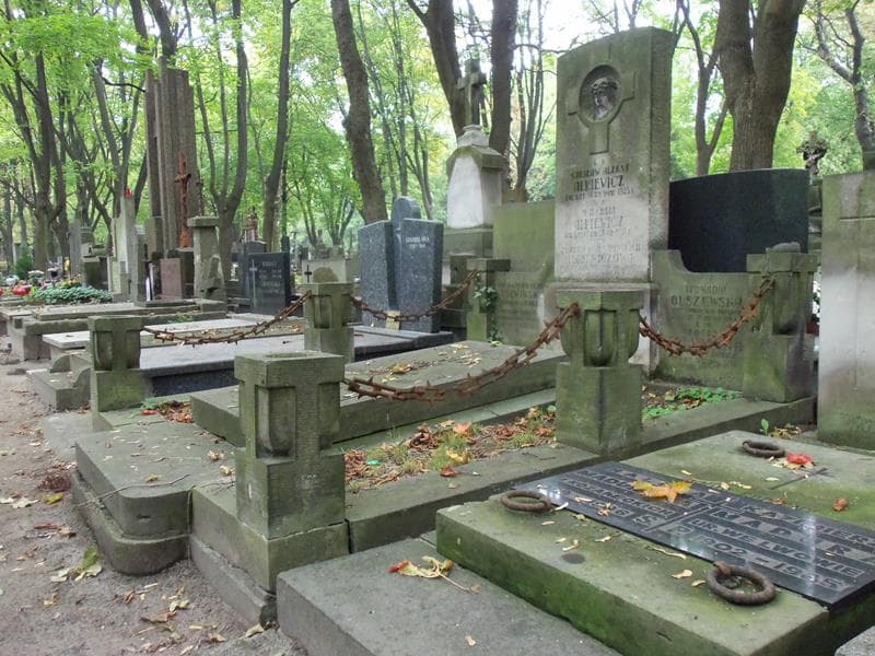 Zdjęcie grobu Zofia Tołwińska (1)