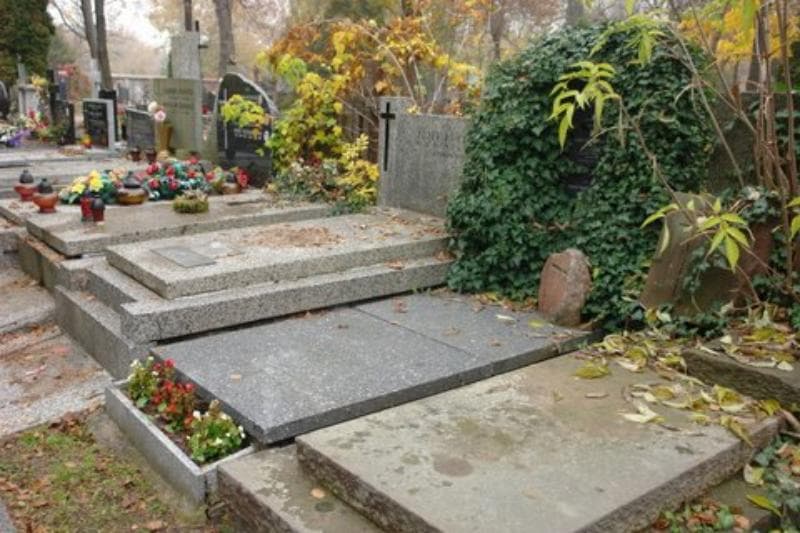 Zdjęcie grobu Janina Niemczynowicz (1)