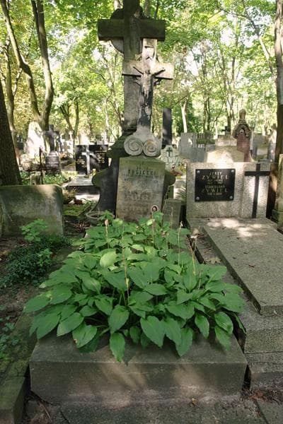 Zdjęcie grobu Andrzej Błaszczykowski (1)