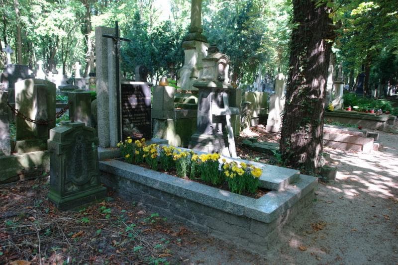 Zdjęcie grobu Jadwiga Pulich (1)
