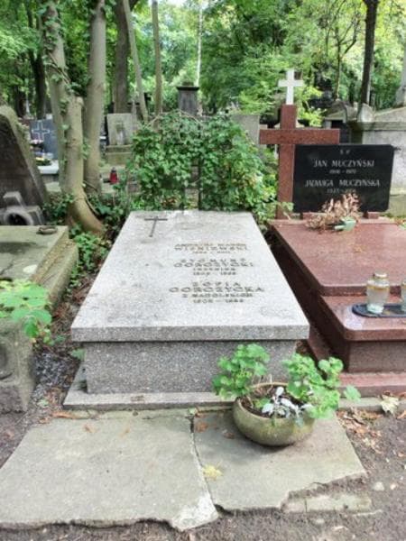 Zdjęcie grobu: Zygmunt Gorczycki